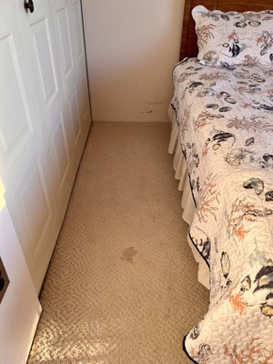 Stained bedroom carpet