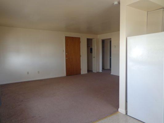 1 bedroom basic unit living room