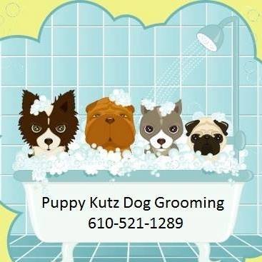 30 Dutton Street Ridley Park,Pa 610-521-1289 Paws Down The Best Around!