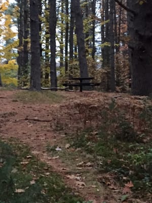 Secluded picnic tables for when you want peace and quiet.