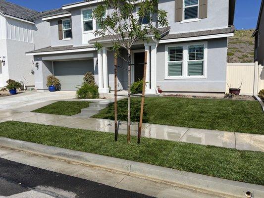 New front yard landscaping