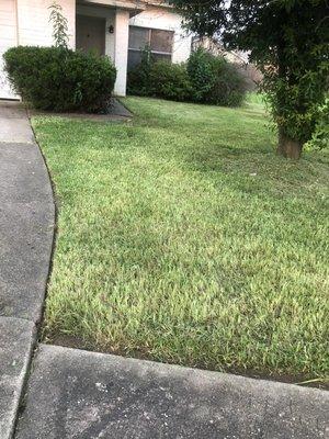 Fresh cut edge weedeat and blow