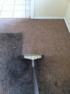 Before you throw your carpet away I may be able to restore it.