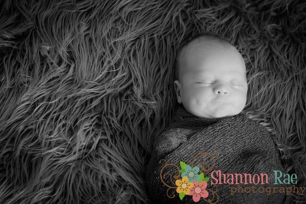 Newborn Photography, Port Huron MI