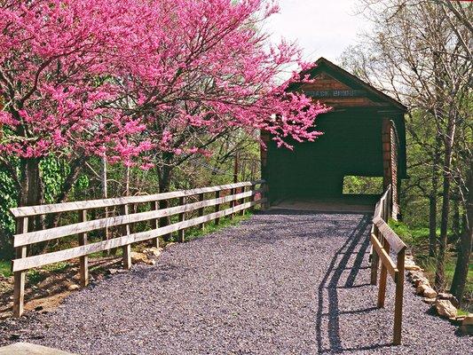 Beautiful Covered Bridge in Spring