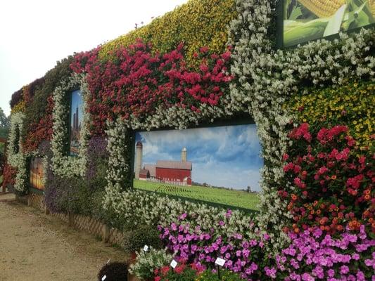 Wall of flowers