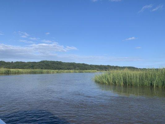 Marsh on the Stono River