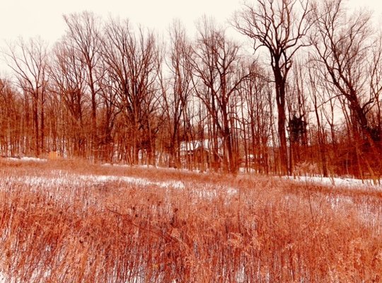 Crow's Nest Preserve