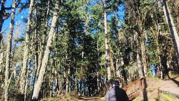 Ridgeline trail views!