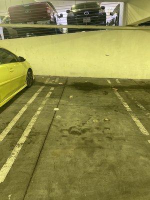 Filthy parking lot. You have to be careful where you step.