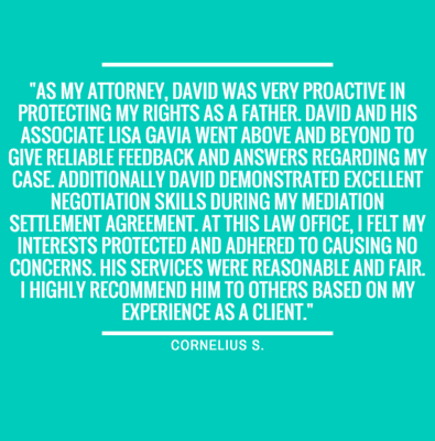 As my attorney, David was very proactive in protecting my rights as a father. David and his associate Lisa Gavia went above a...