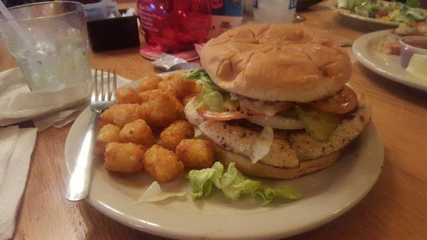 Huge grilled chicken sammy + tots