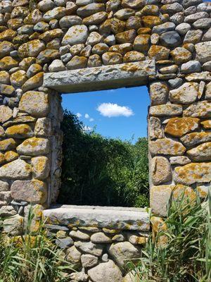 Stone ruin are almost filled with brush almost as high as the walls