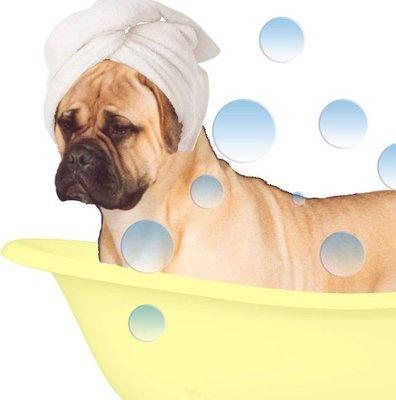 Every dog loves a spa day!