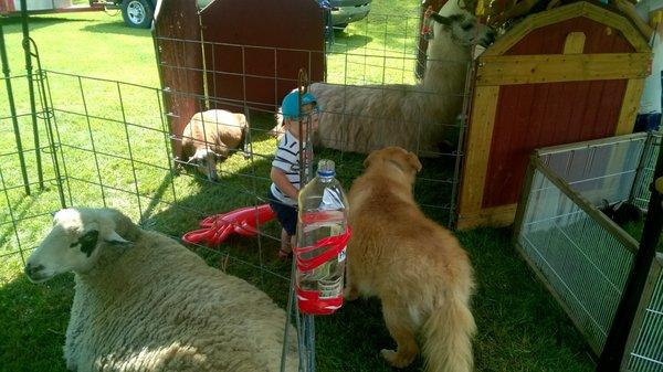 Lilly, Regis, Sweety and Jacob