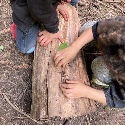 Worm digging is a favorite pastime at Nature School!