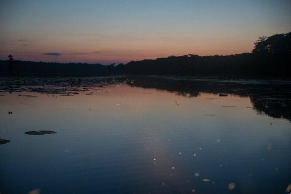 Sunset on Caddo Lake