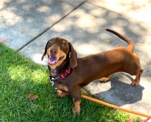 Wally post nail trim!