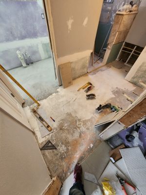 Bathroom remodel demo stage