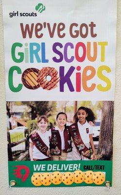 1' x 2' Banner for Competitive and Determined Girl Scout.