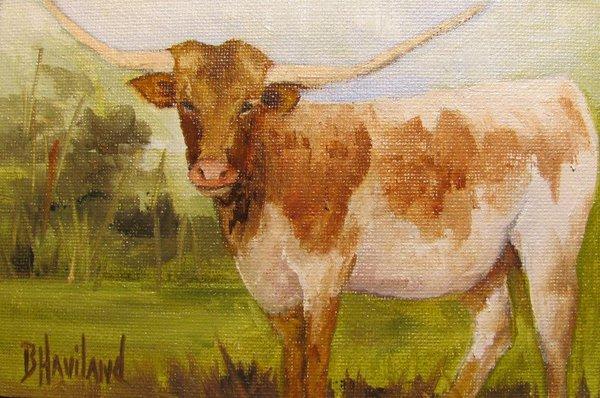 Lucky Longhorn  oil painting by Barbara Haviland