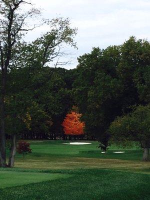 Between the 1st hole par 4 and the 2nd hole (right bunker) fall. Majestic..