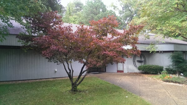 Outside the Sanctuary building.