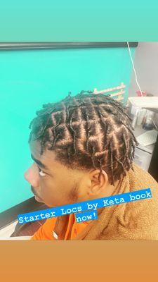 Starter Locs