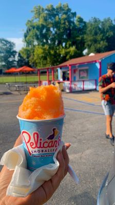 Pelican's SnoBalls