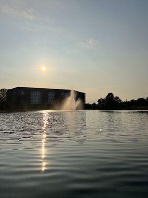 Dave's Paddle Boats