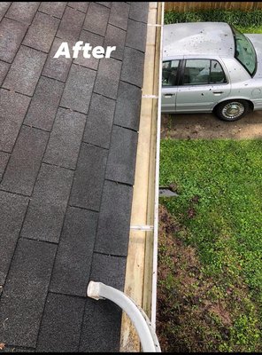 Gutter cleaning