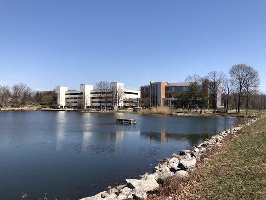 The campus from across the lake.