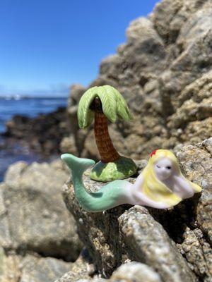 Asilomar Beach