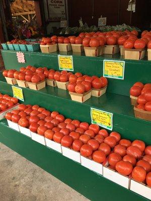 Lots of tomatoes for canning