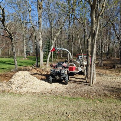 Matthew's Tree and Landscape