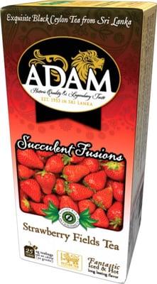 Succulent Fusions Strawberry Fields Tea. Made with pure high grade black Ceylon tea and real strawberry.