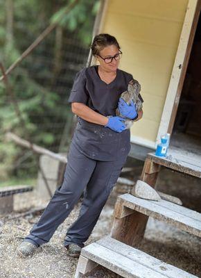 Sky Valley Pet Nurse