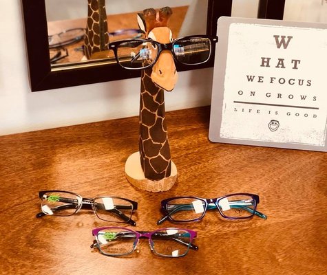 We have a great selection of children's eye glasses! As well as adults