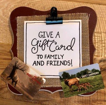 Gift cards are available for purchase at the ranch. Give the gift of adventure!