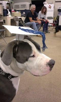 Student and doggie daycare participant, Mr. BLU!