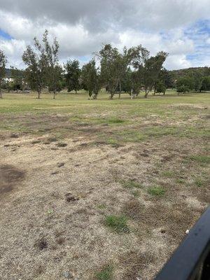 Castle creek Golf course