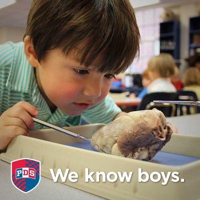 We know that boys aren't afraid to get hands-on -- even when dissecting a heart!