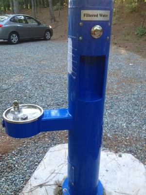 Water fountain with built in filter and bottle fill available