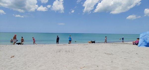 The dog days of summer;) Gorgeous dog beach.