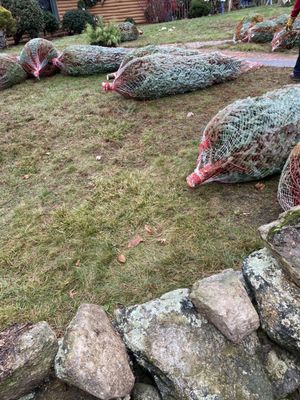 Sleighbell Christmas Tree Farm & Gift Barn