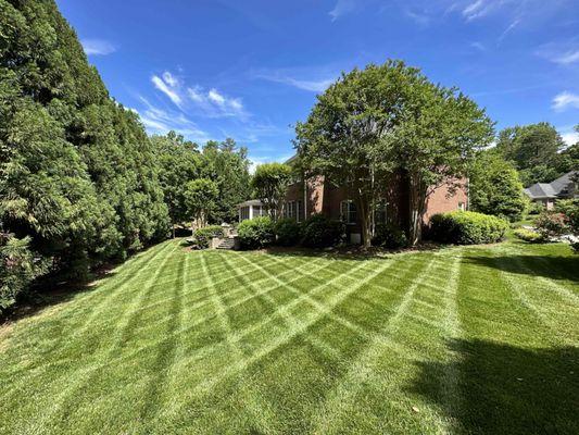 A well striped fescue lawn