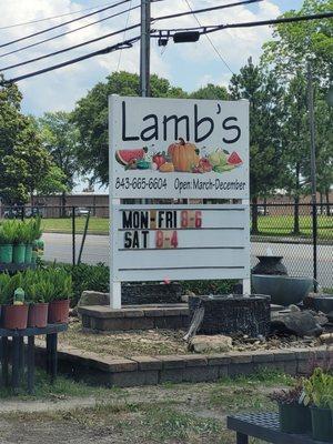 Checking out the produce at a local roadside market.