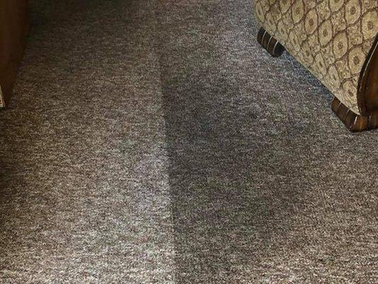 Carpet Cleaning