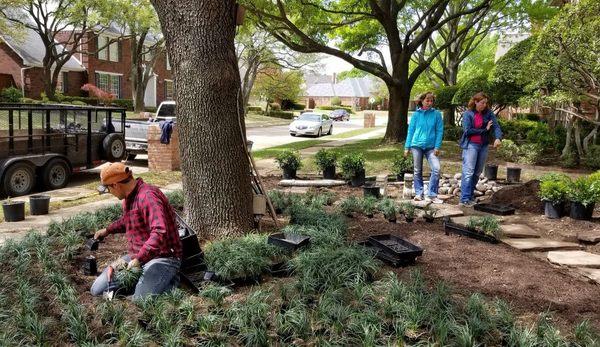 Xeriscape installation