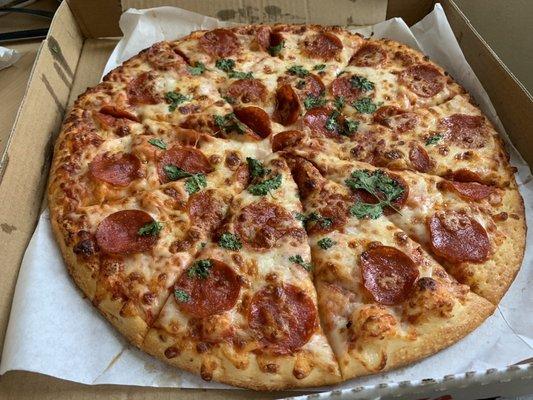 10 Slices Large Pizza - Pepperoni & Cilantro - Delicious